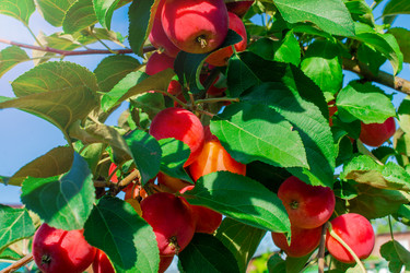 Similar image 21894861