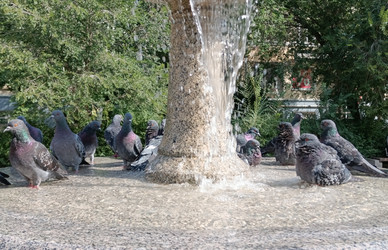 Similar image 21894864