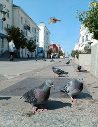 Similar image 21894865