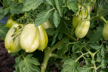 Similar image 21894996