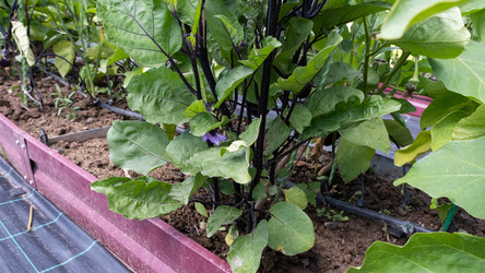 Similar image 21894997