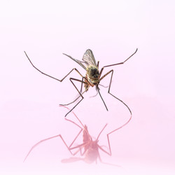 Similar image 21895362