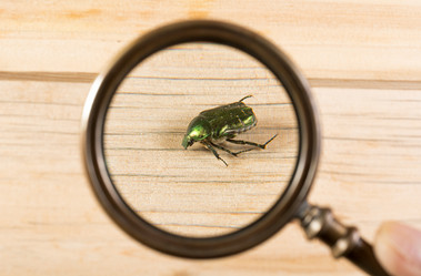 Similar image 21895364