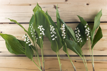 Similar image 21895365