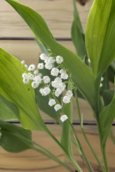 Similar image 21895366