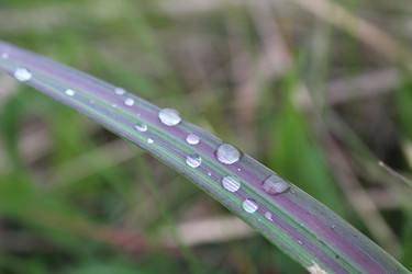 Similar image 21899416