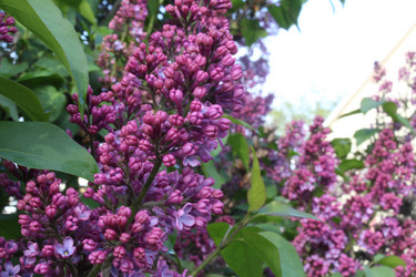 Similar image 21899418