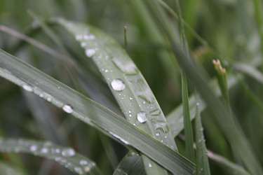 Similar image 21899419