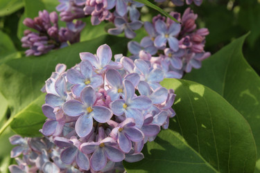 Similar image 21899420