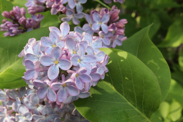 Similar image 21899421