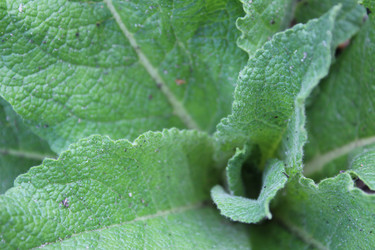 Similar image 21899422