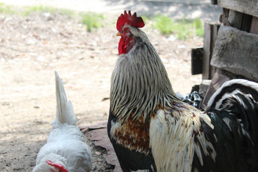 Similar image 21899425