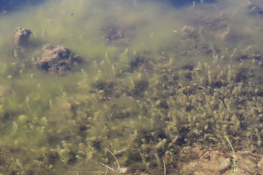 Similar image 21899430