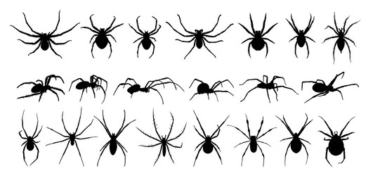 Similar image 21895432