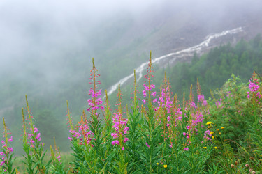 Similar image 21896692