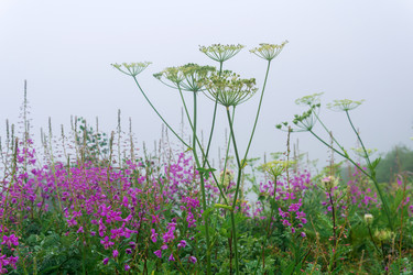 Similar image 21896693