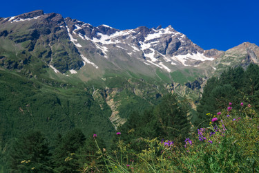 Similar image 21896694