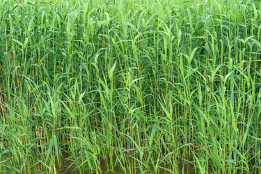 Similar image 21896716