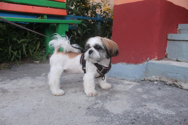 Similar image 21899433