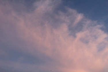 Similar image 21899434