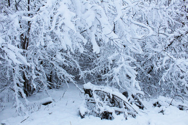 Similar image 21899436