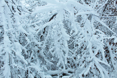 Similar image 21899437