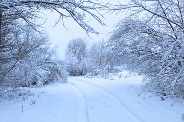 Similar image 21899438