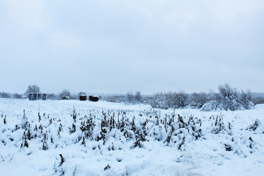 Similar image 21899440