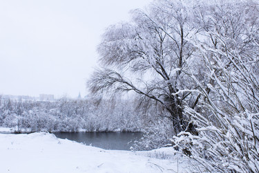 Similar image 21899441