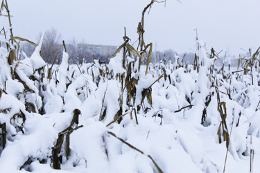 Similar image 21899443