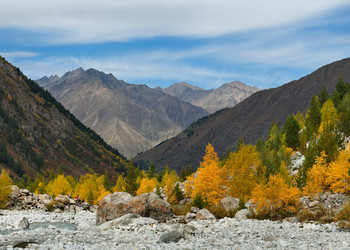 Similar image 21905155