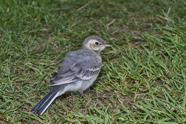 Similar image 21895540