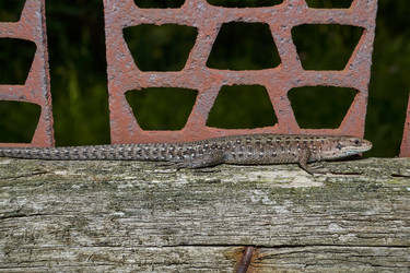 Similar image 21895546