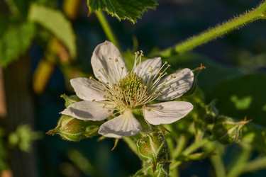 Similar image 21895549