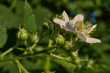 Similar image 21895551