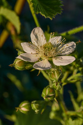 Similar image 21895553