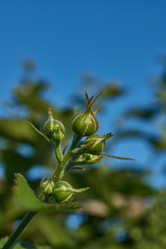 Similar image 21895554