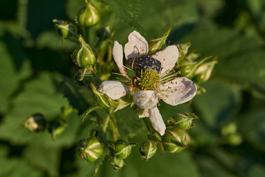 Similar image 21895555