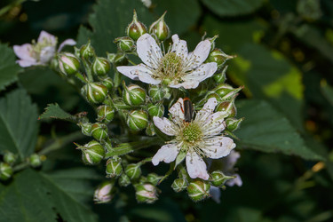 Similar image 21895556