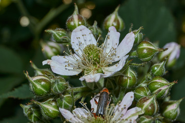 Similar image 21895557