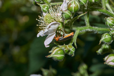 Similar image 21895559