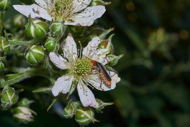 Similar image 21895560