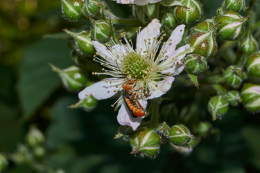 Similar image 21895561