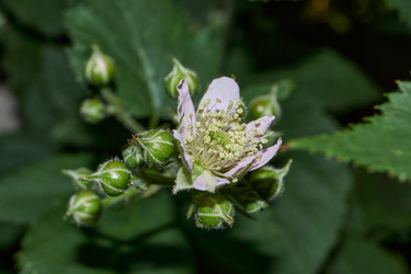 Similar image 21895562