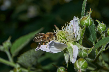 Similar image 21895563