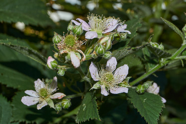 Similar image 21895564