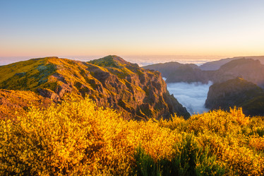 Similar image 21897087