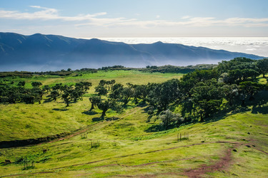 Similar image 21897096