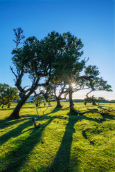 Similar image 21897098