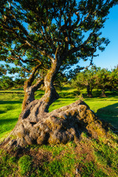 Similar image 21897100